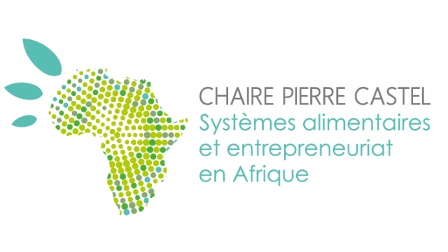 Logo Chaire Pierre  Castel
